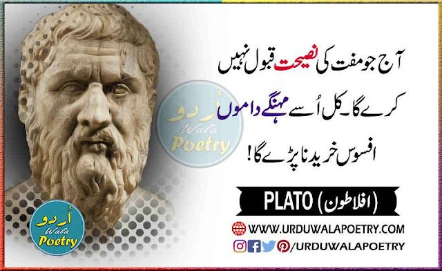Aflatoon Quotes in Urdu